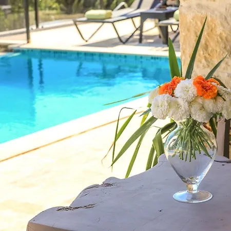 Patara Breeze *